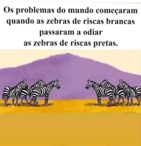 1762178823628.jpg