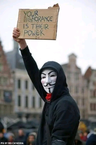 1747565998637.jpg