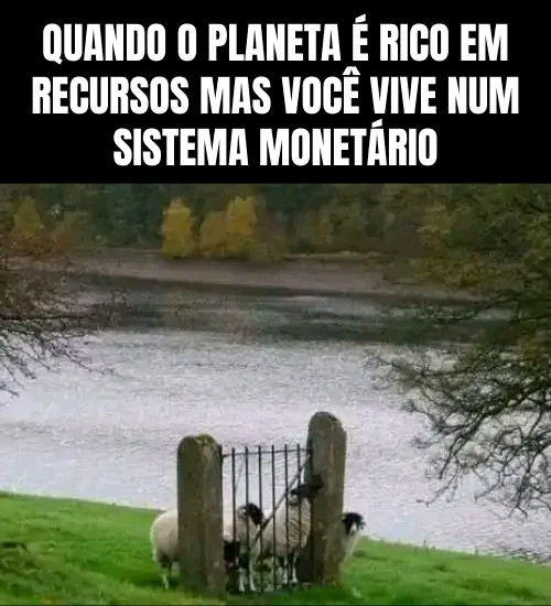 1766980491752.jpg