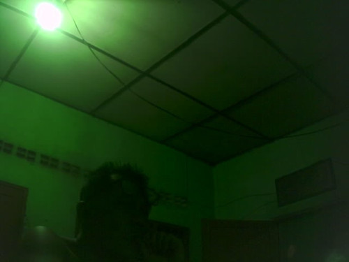 4ebc42351077.jpg