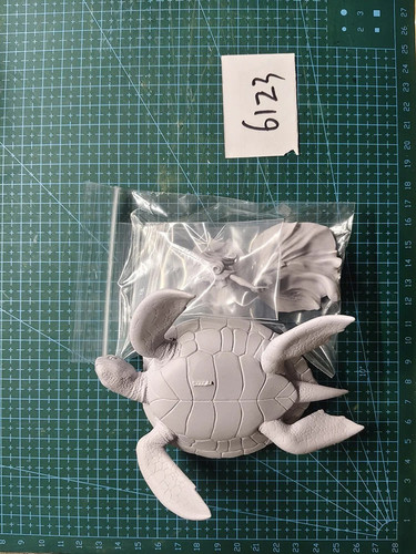 d84cb418dd3d.jpg