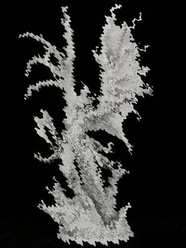 603c9f0d14eb.jpg