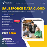 Salesforce Data Cloud Training Hyderabad | Visualpath