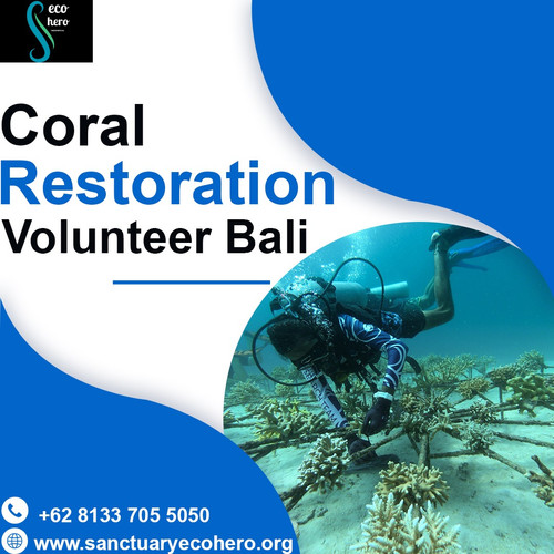 Coral restoration volunteer Bali.jpg