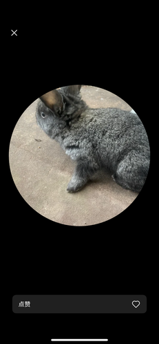 IMG 0745.png