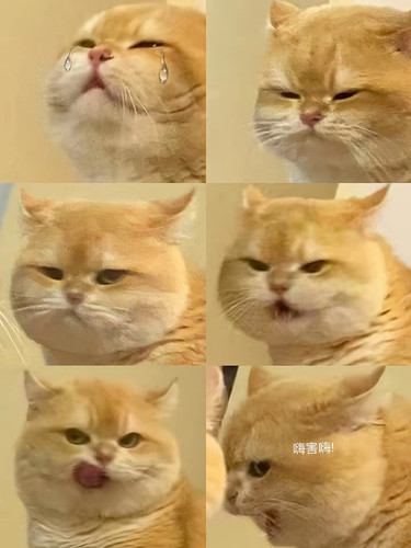 1000452801.jpg