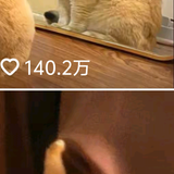 1000452800.png
