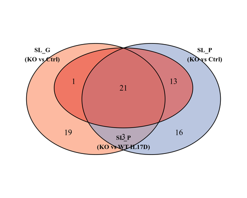 01 KO down genes venn.png