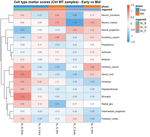 01 celltype marker heatmap Ctrl.png