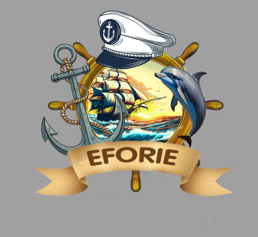 24122e8c0438.png