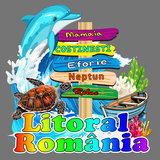 e9e8f63413f9.png