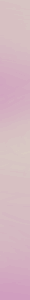06.png