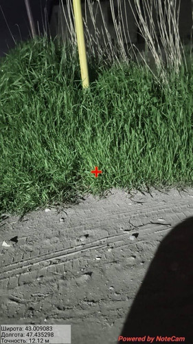 IMG 20260430 170512.jpg