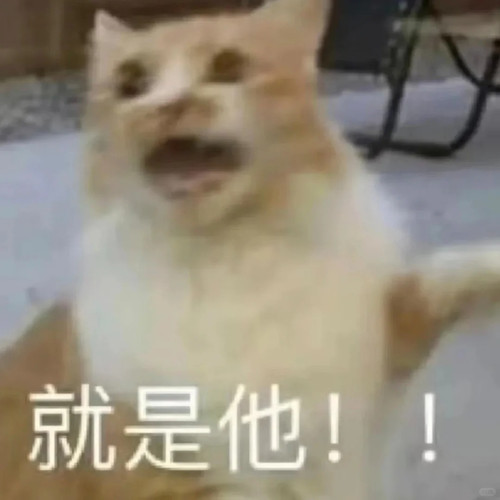小猫贱兮兮的表情包最可爱了哈哈哈 6 煤球 来自小红书网页版.jpg