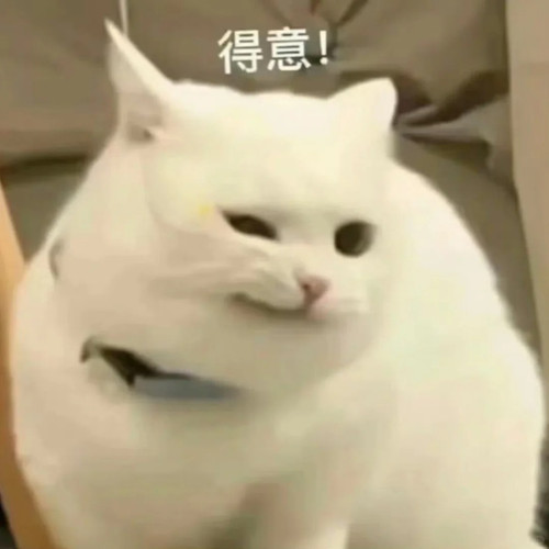 小猫咪表情包、超可爱哦 1 表情包研究所 来自小红书网页版.jpg