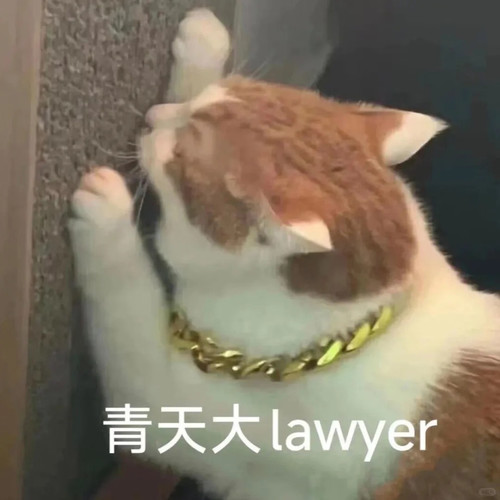 小猫贱兮兮的表情包最可爱了哈哈哈 7 煤球 来自小红书网页版.jpg