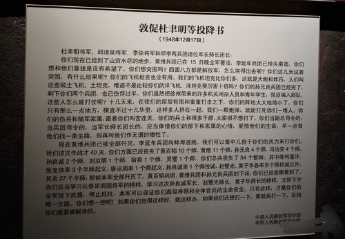 1000112169.jpg