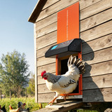 us%2FJSKMQCSSKGDCNGEKL001V9%2Foriginal img v1%2Fchicken coop door opener m100 1.12