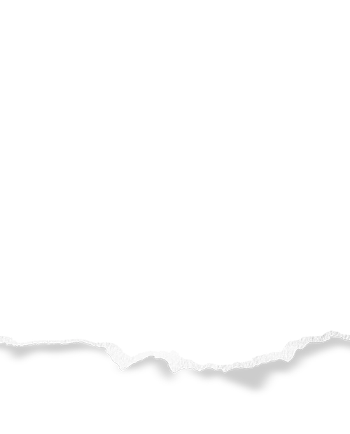 501D12B2 C475 44FE BF2D 4F9AB7CA76A4.png
