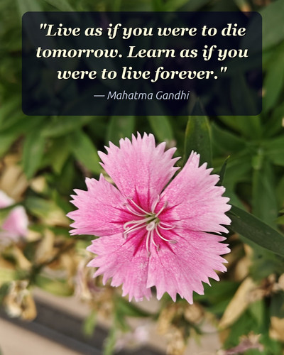 today quoted.jpg