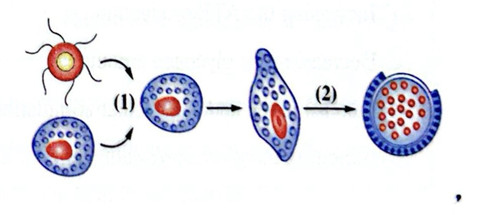 CamScanner 08 05 2026 10.39 1 (1).jpg