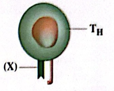 CamScanner 08 05 2026 10.48 1 (1).jpg