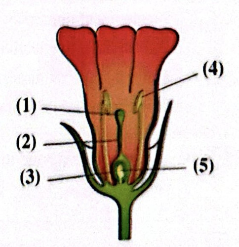 CamScanner 08 05 2026 10.48 1.jpg