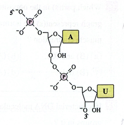 CamScanner 08 05 2026 10.40 1.jpg