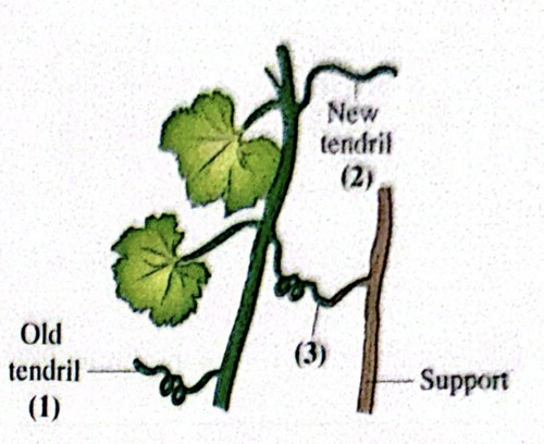 CamScanner 08 05 2026 10.34 1 (1).jpg