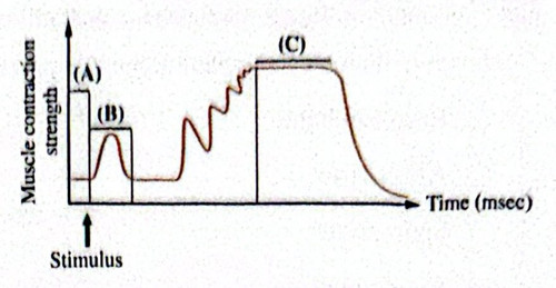 CamScanner 08 05 2026 10.42(1) 1.jpg