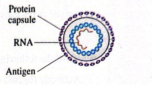 CamScanner 08 05 2026 10.47 1.jpg