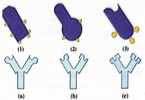 CamScanner 08 05 2026 10.45 1 (1).jpg