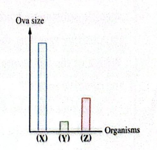 CamScanner 08 05 2026 10.45 1.jpg