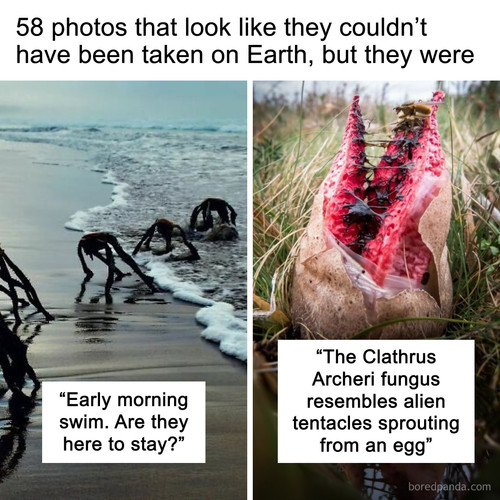 photos look like alien planet.jpg