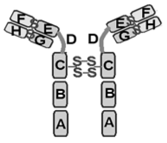 Screenshot (326).png