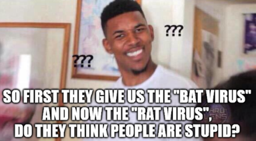 rv.png