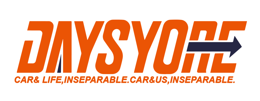 Daysyore logo