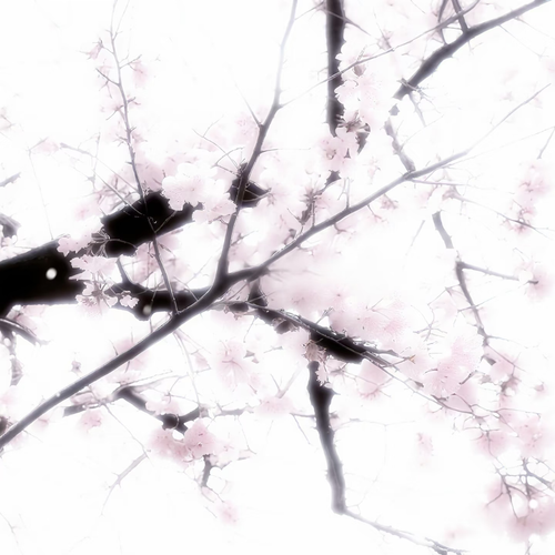 IMG 20260506 133501.png