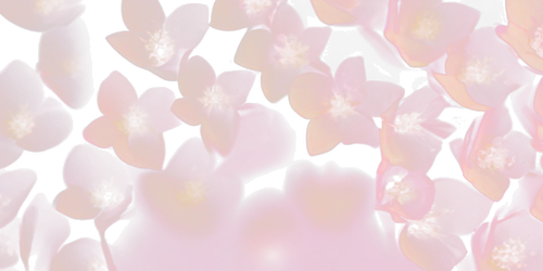 47d407e85ab5.png