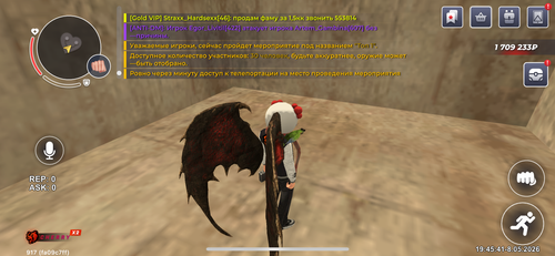 IMG 1231.png