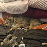 f7c9883f e472 4c90 aaa0 d7f56a21efa3.jpg