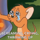 cry jerry.gif