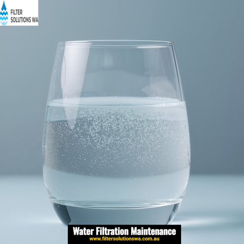 Water Softeners in Perth: Do You Actually Need One?.png