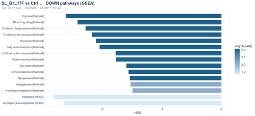 08b SLB IL17F GSEA DOWN.png