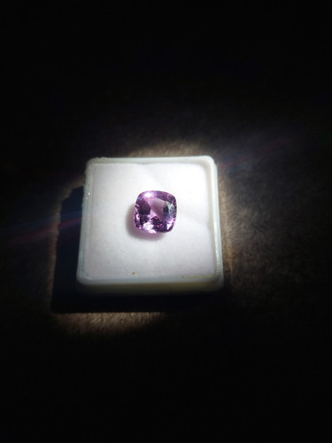 1000021597.jpg