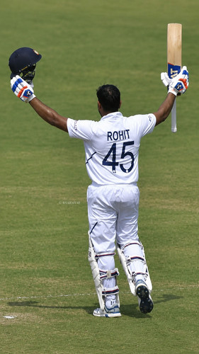 42805.jpg