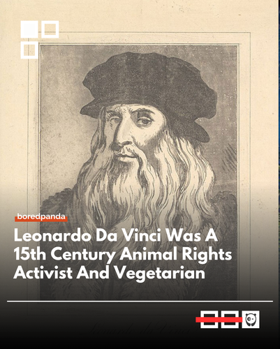 Da vinci.png