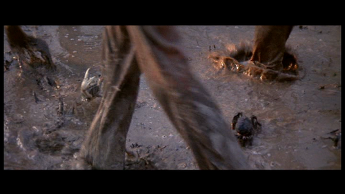 vlcsnap 2026 05 07 22h48m52s799.png