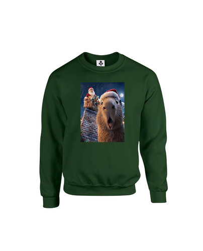C367 santa capybara+Sweat Bottle Green.jpg