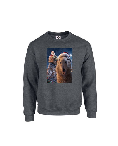 C367 santa capybara+Sweat Dark Heather.jpg